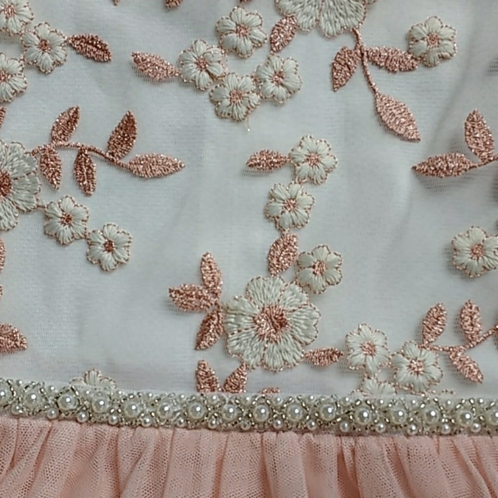 โHPโ๐๐๐ Beautiful Girl's Blush Pink Peach Dress - Picture 3 of 8